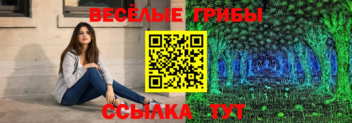 Шатура  Галлюциногенные грибы MAGIC MUSHROOMS  Вход с VPN 