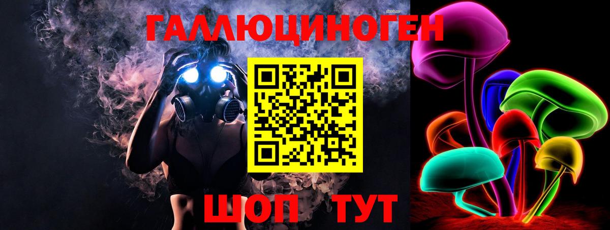 Псилоцибиновые грибы GOLDEN TEACHER Шатура